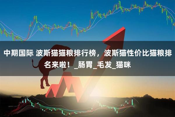 中期国际 波斯猫猫粮排行榜，波斯猫性价比猫粮排名来啦！_肠胃_毛发_猫咪